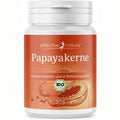Papaya Kerne getrocknet