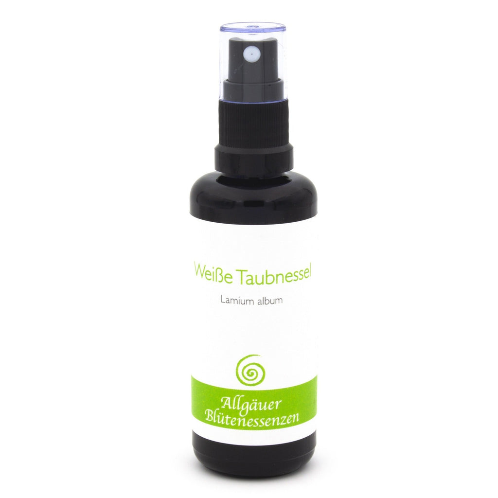 Allgäuer Blütenessenzen Weisse Taubnessel 50ml mit Blütenkarte