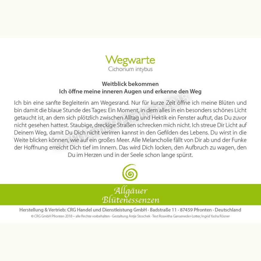 Allgäuer Blütenessenzen Wegwarte 50ml mit Blütenkarte