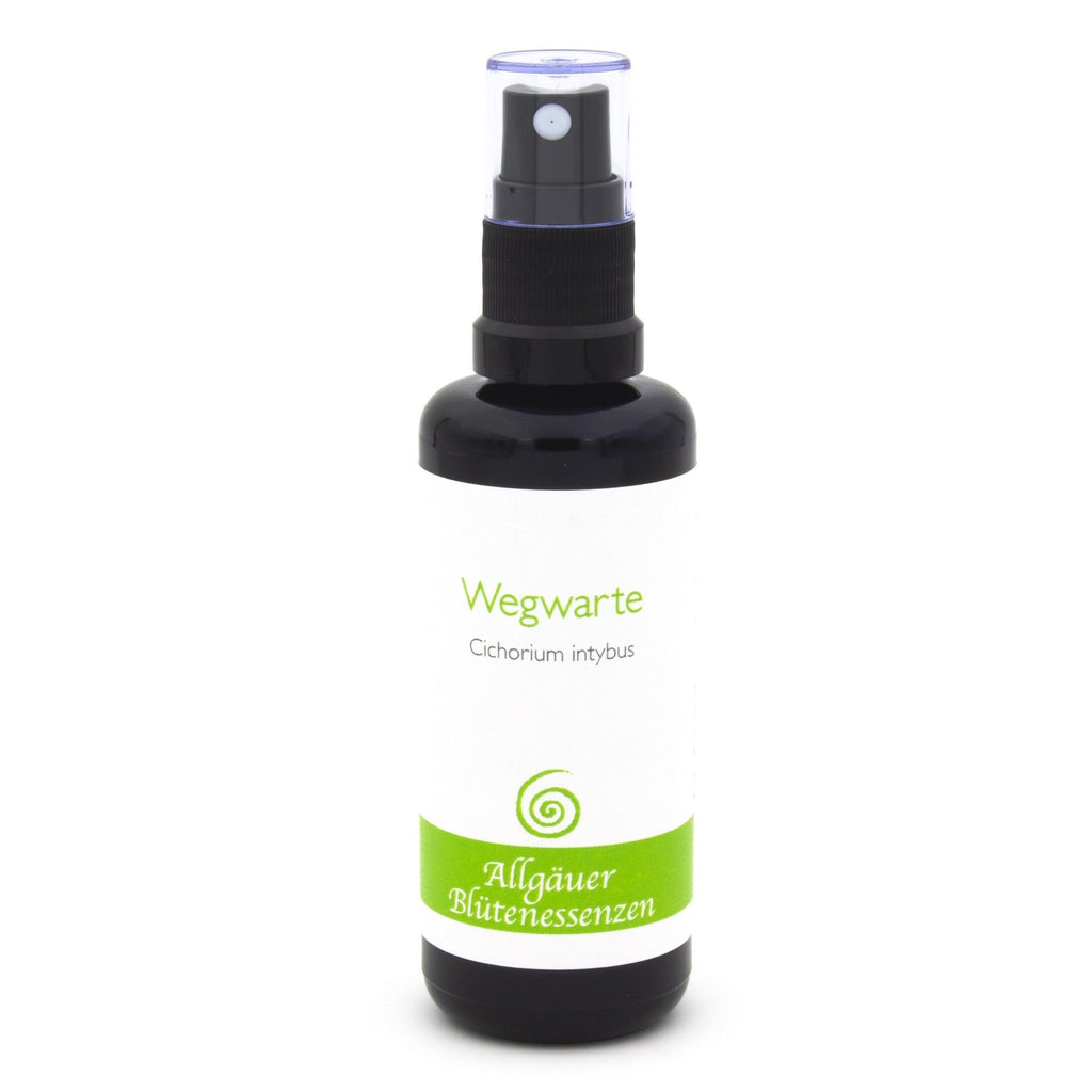 Allgäuer Blütenessenzen Wegwarte 50ml mit Blütenkarte