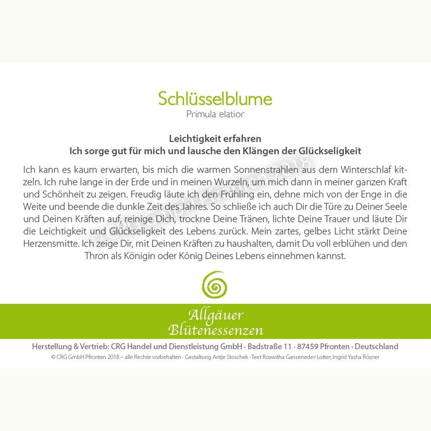 Allgäuer Blütenessenzen Schlüsselblume 50ml mit Blütenkarte