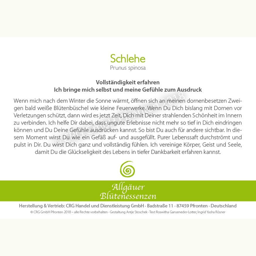 Allgäuer Blütenessenzen Schlehe 50ml mit Blütenkarte