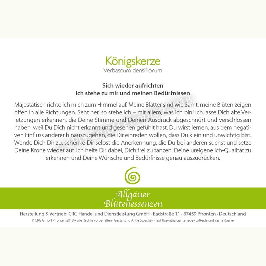 Allgäuer Blütenessenzen Königskerze 50ml mit Blütenkarte