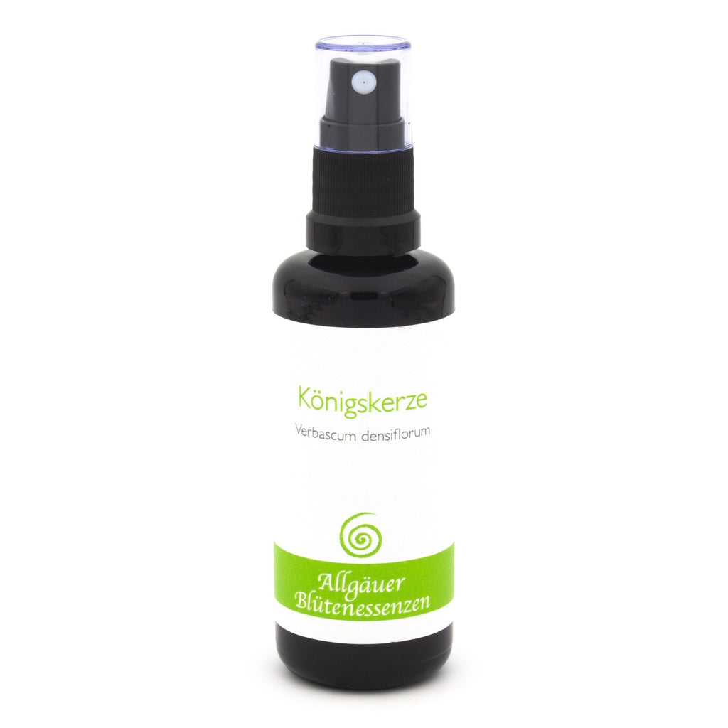 Allgäuer Blütenessenzen Königskerze 50ml mit Blütenkarte