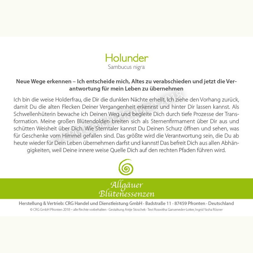 Allgäuer Blütenessenzen Holunder 50ml mit Blütenkarte