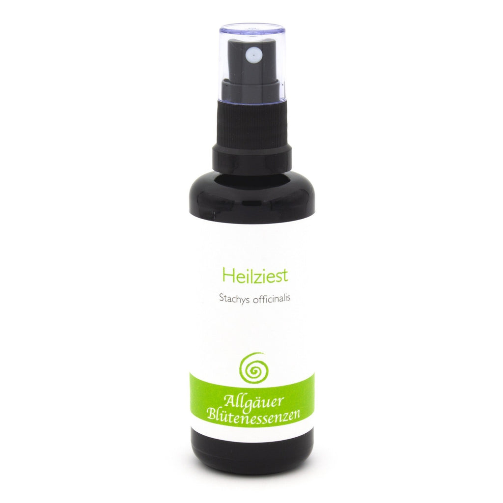 Allgäuer Blütenessenzen Heilziest 50ml mit Blütenkarte