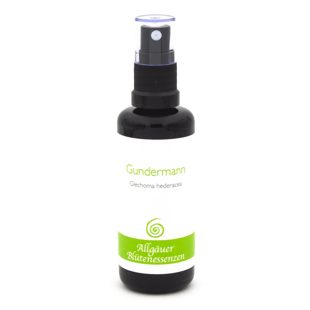 Allgäuer Blütenessenzen Gundermann 50ml mit Blütenkarte