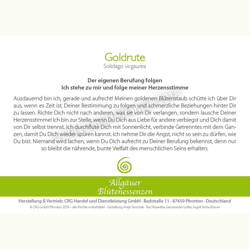 Allgäuer Blütenessenzen Goldrute 50ml mit Blütenkarte