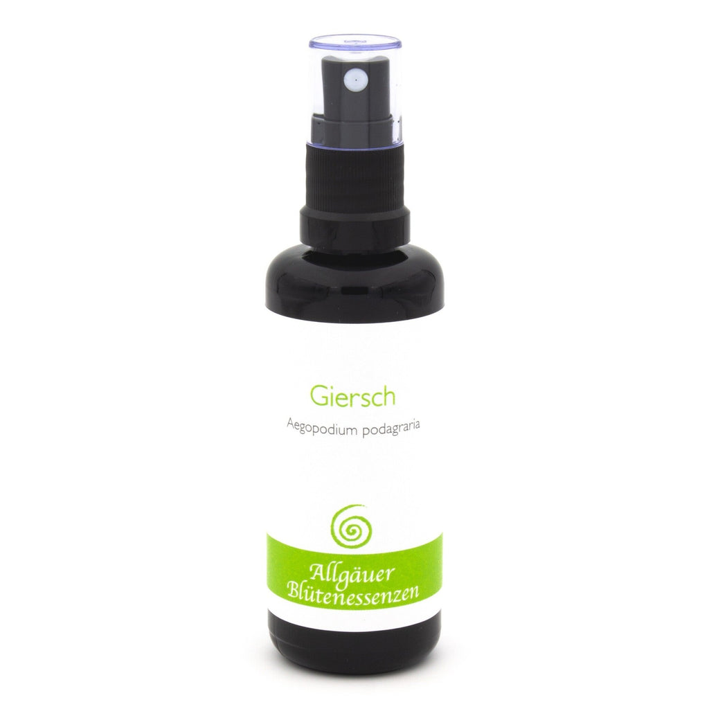 Allgäuer Blütenessenzen Giersch 50ml mit Blütenkarte
