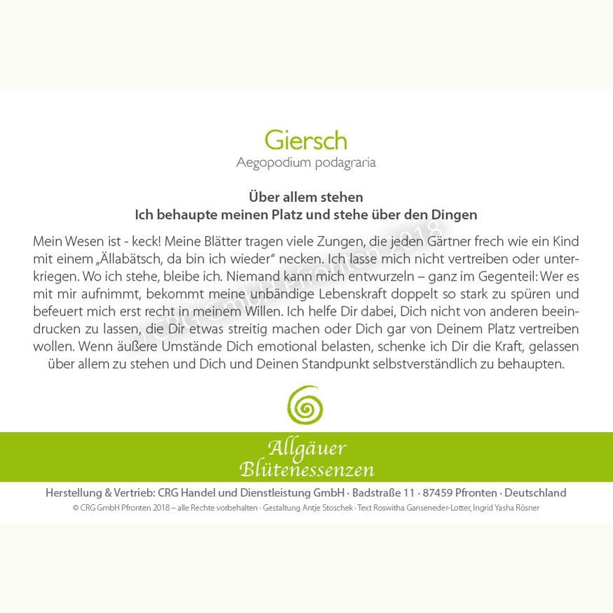 Allgäuer Blütenessenzen Giersch 50ml mit Blütenkarte