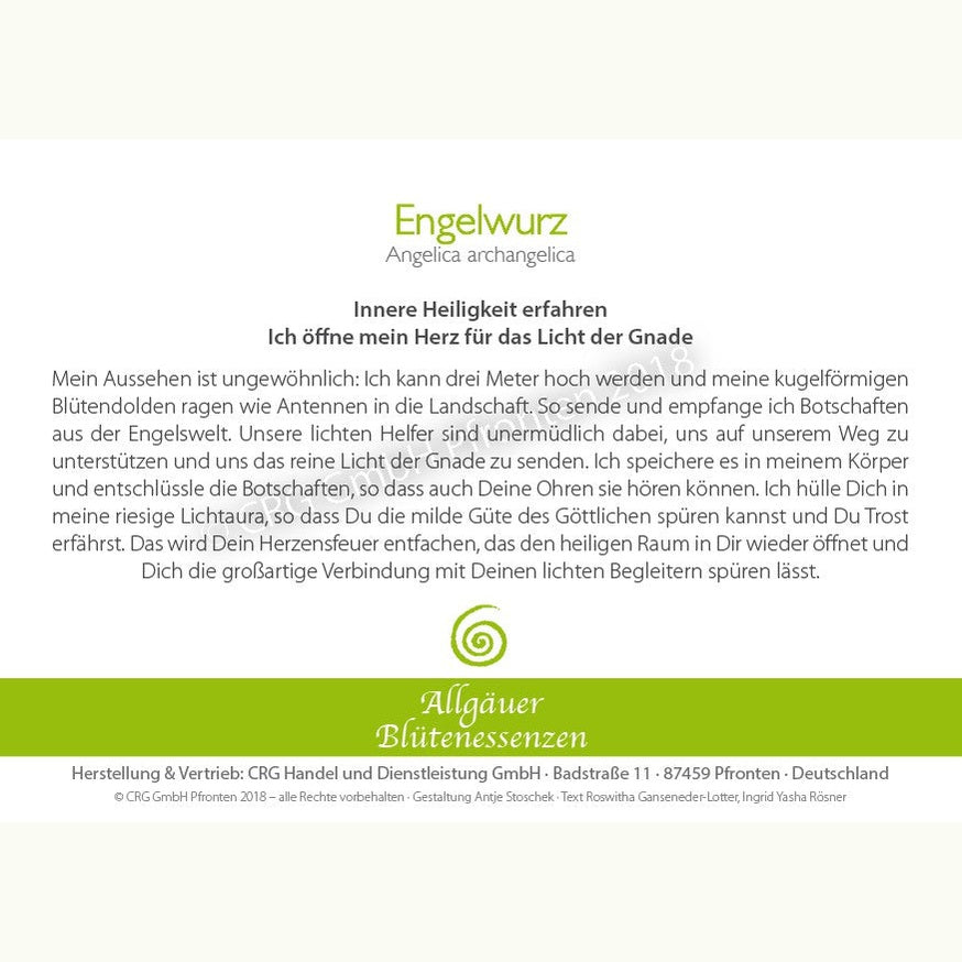 Allgäuer Blütenessenzen Engelwurz 50ml mit Blütenkarte