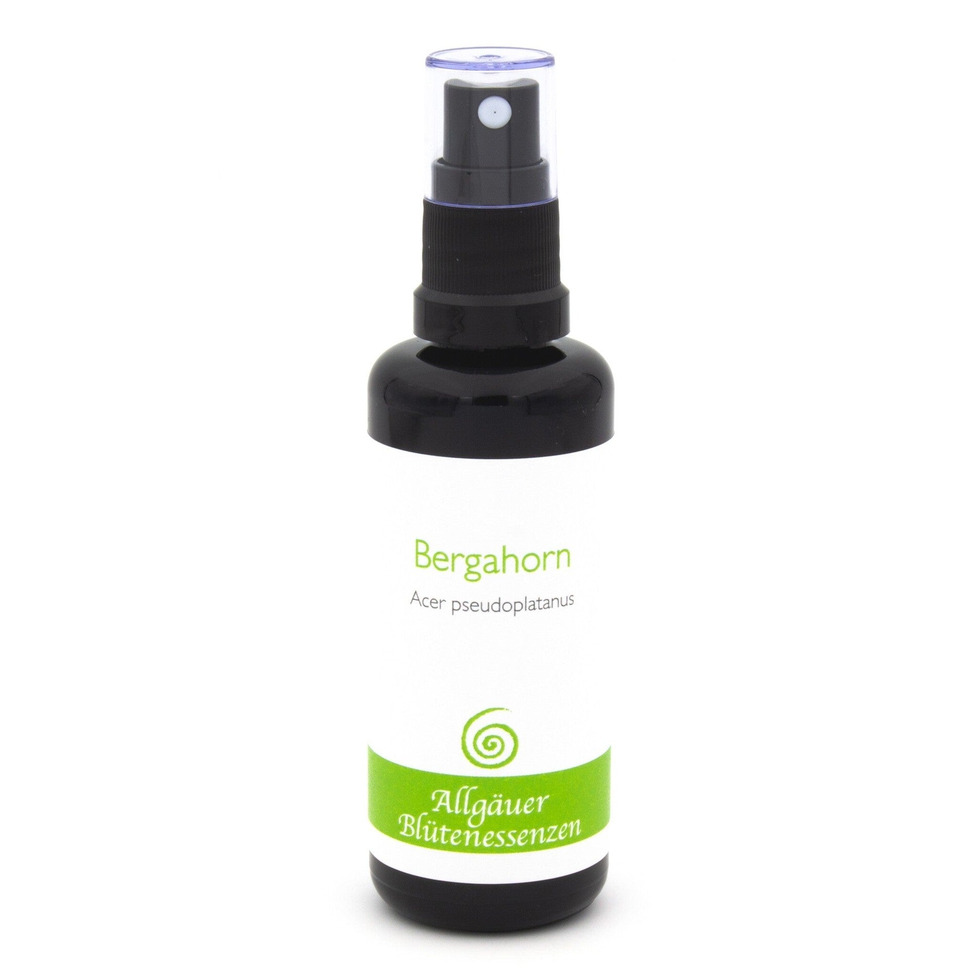 Allgäuer Blütenessenzen Bergahorn 50ml mit Blütenkarte