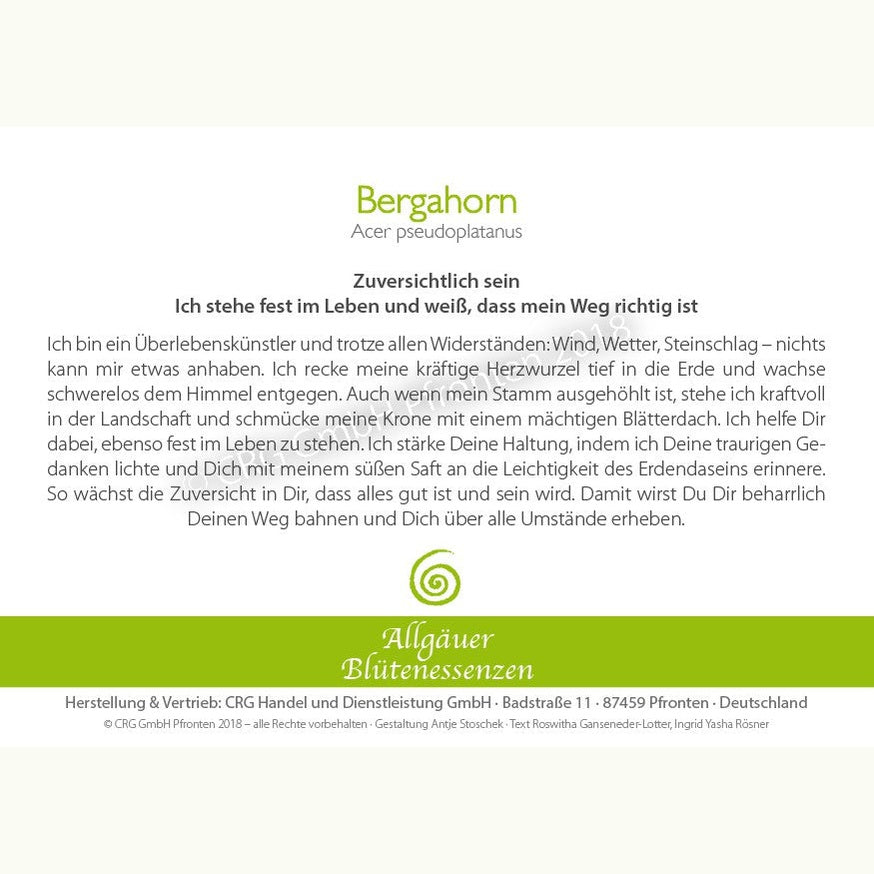 Allgäuer Blütenessenzen Bergahorn 50ml mit Blütenkarte