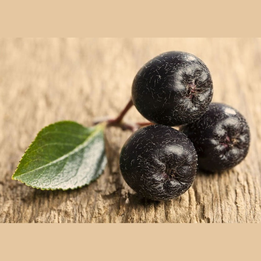 Aronia Handcrème 75 ml