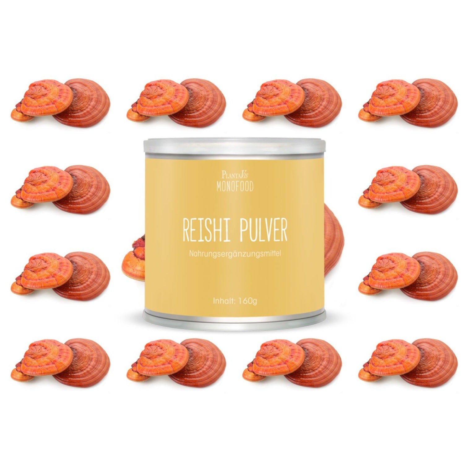 Reishi Pulver 200g