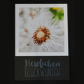 KA-006 Glückwunsch Pusteblume