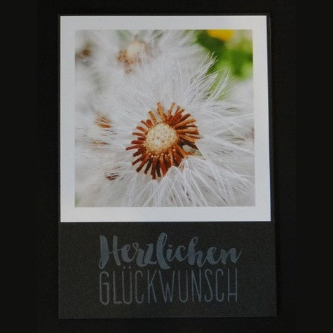 KA-006 Glückwunsch Pusteblume