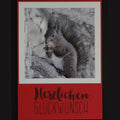 KA-008 Glückwunsch Eichhörnchen
