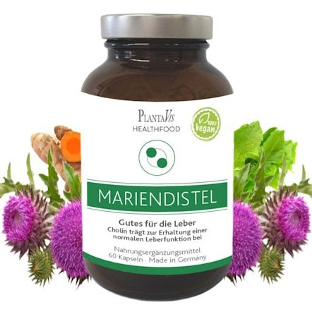 Mariendistel Kapseln - 60 Kapseln