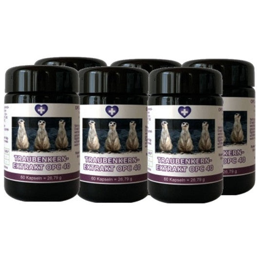 OPC 40 (Bio) Traubekernextrakt 6er Sparpaket
