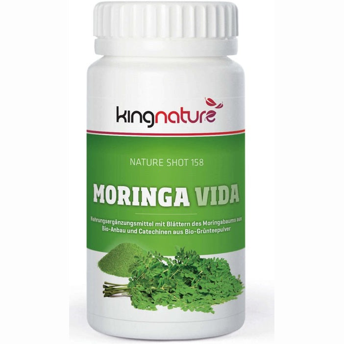 MORINGA VIDA