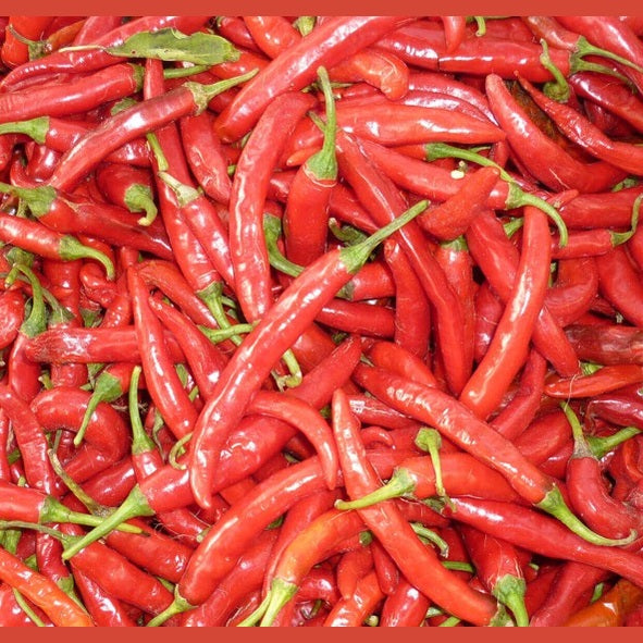 CAYE VIDA