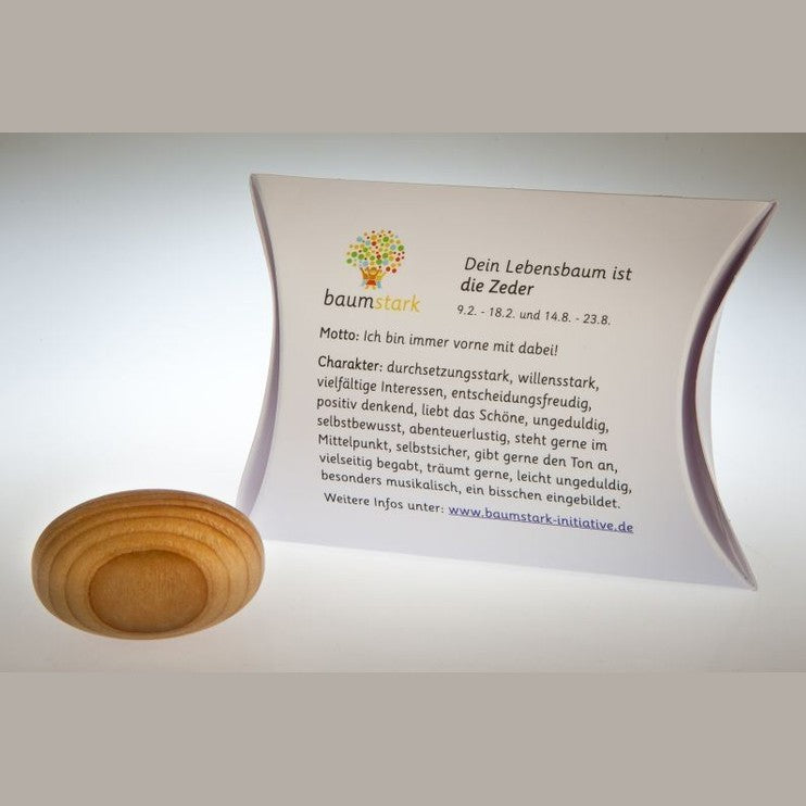 Zeder - Handschmeichler - Lebensbaum