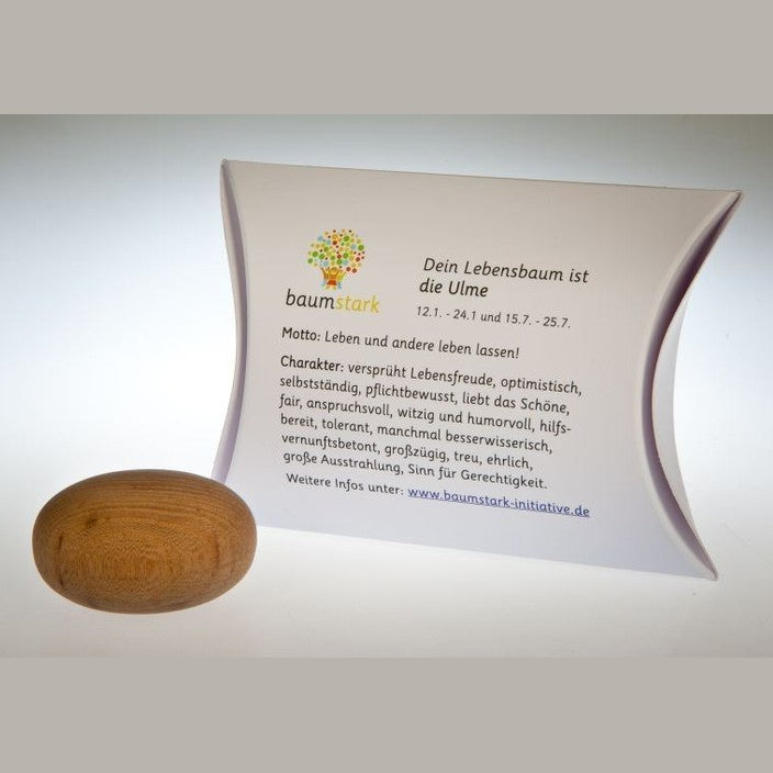 Ulme - Handschmeichler - Lebensbaum